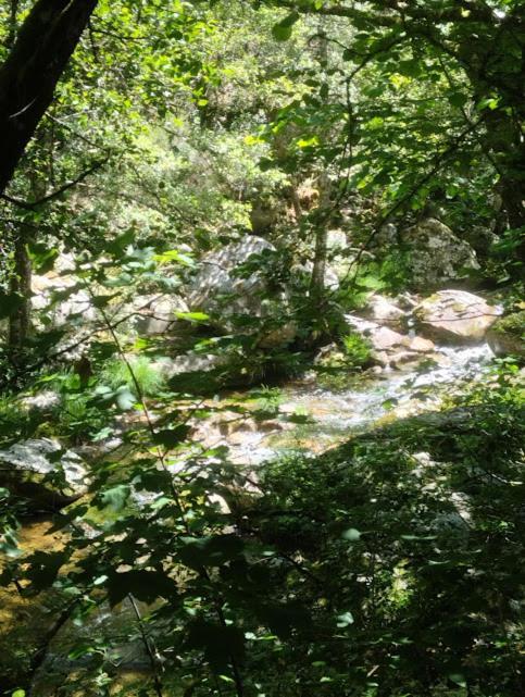 Pereiro de AguiarO Recuncho Da Isa - Ribeira Sacra别墅 外观 照片
