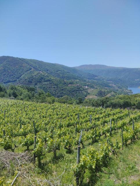 Pereiro de AguiarO Recuncho Da Isa - Ribeira Sacra别墅 外观 照片